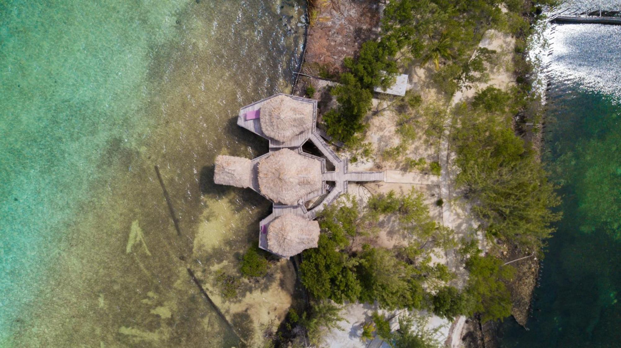 Thatch Caye Resort A Muy'Ono Resort Hopkins Pokoj fotografie