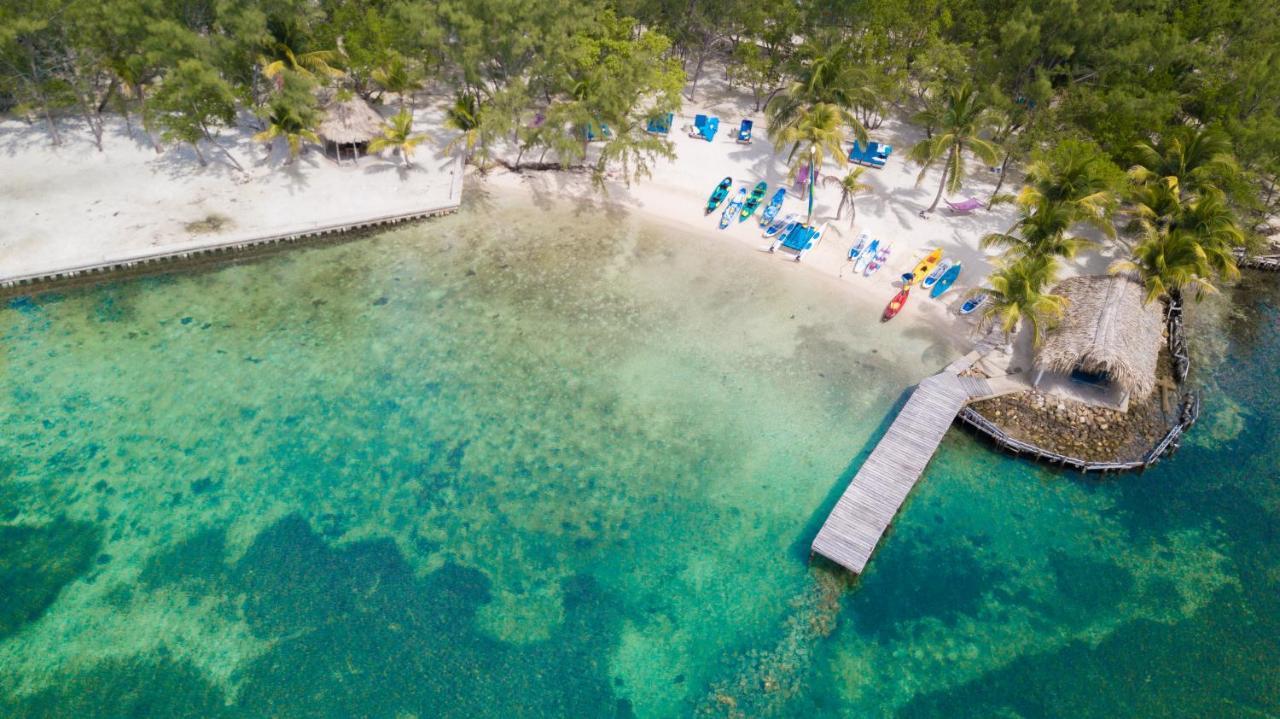 Thatch Caye Resort A Muy'Ono Resort Hopkins Exteriér fotografie
